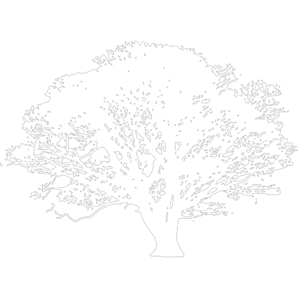 Black And White Tree PNG Clip art