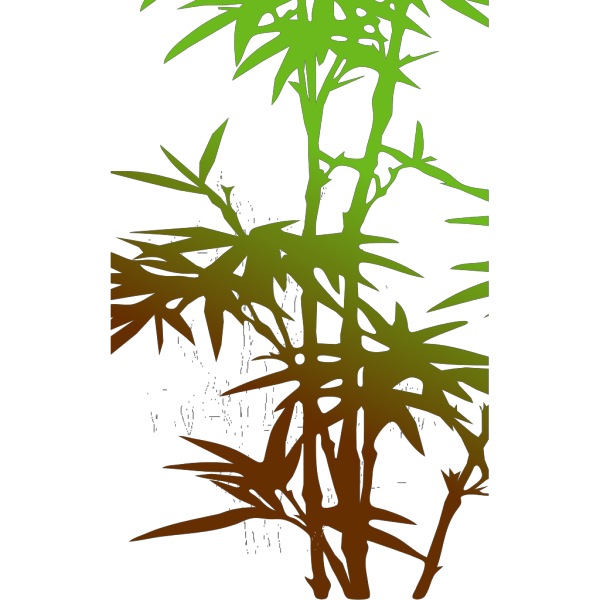 Bamboo PNG Clip art