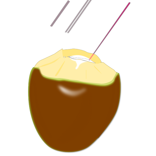 Cocnut  PNG images