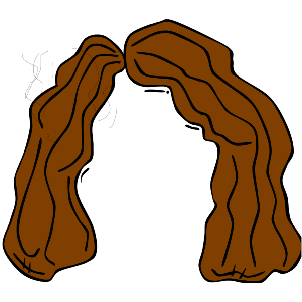 Brown Wig PNG Clip art