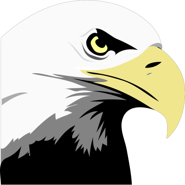 Eagle PNG Clip art