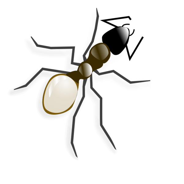 Ant PNG Clip art