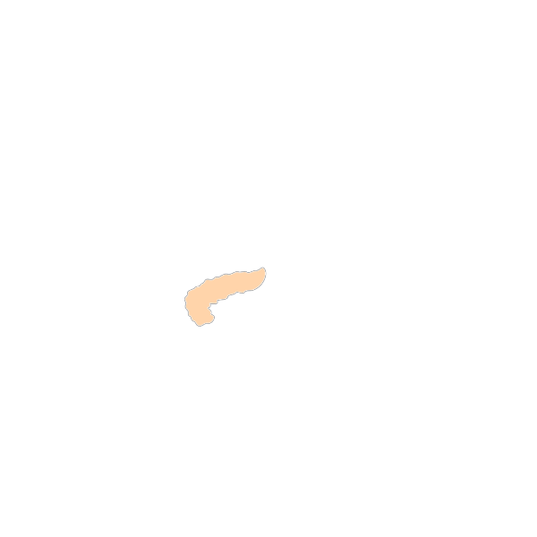 Pancreas Brown PNG Clip art