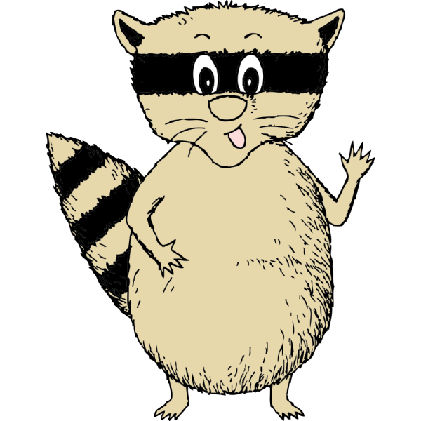 Raccoon PNG images