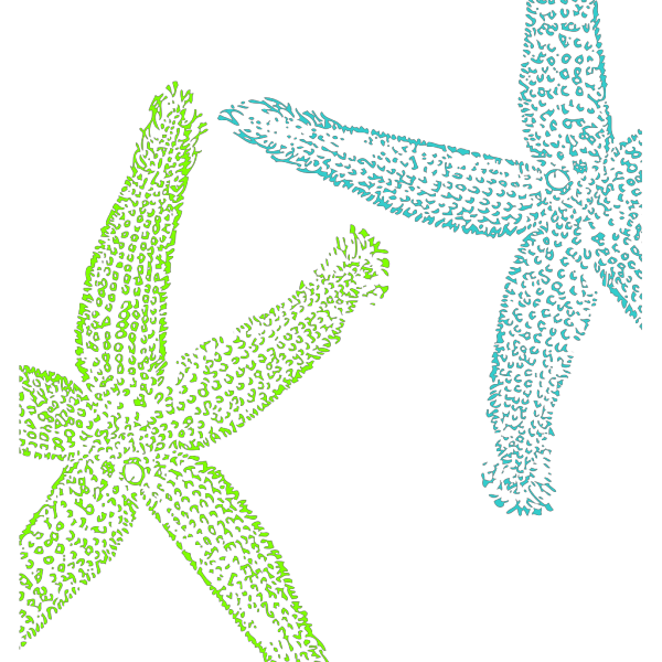 Turquoise And Lime Green Starfish PNG images