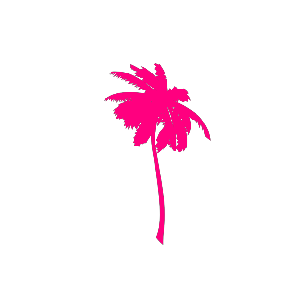Vector Palm Trees PNG Clip art