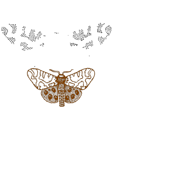 Moth PNG Clip art