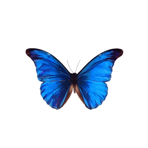 Blue Butterfly PNG Clip art