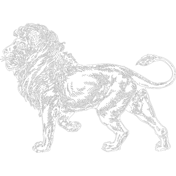 Lion White PNG Clip art