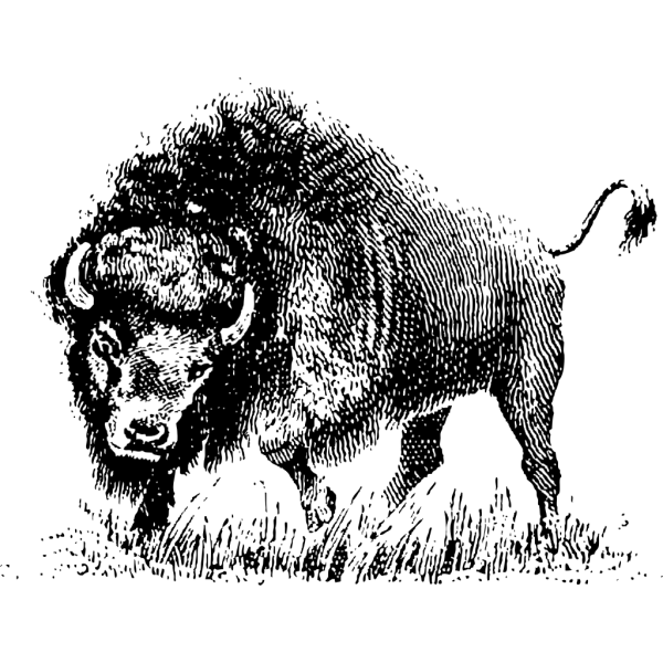 Buffalo-full PNG Clip art