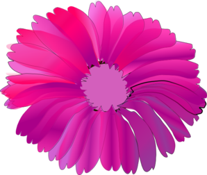 Pink Flower With Black Background PNG Clip art