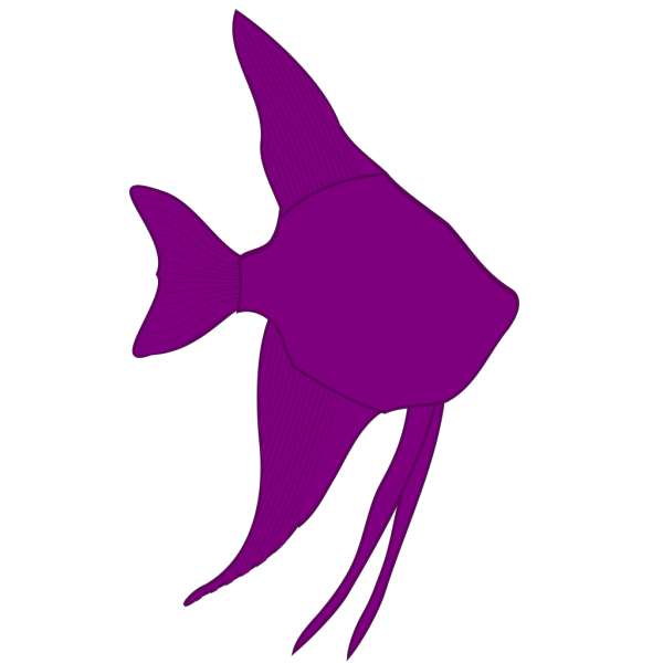 Angelfish Silhouette PNG Clip art