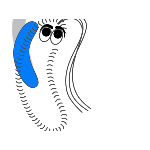 Bacteria Blue Funny PNG images