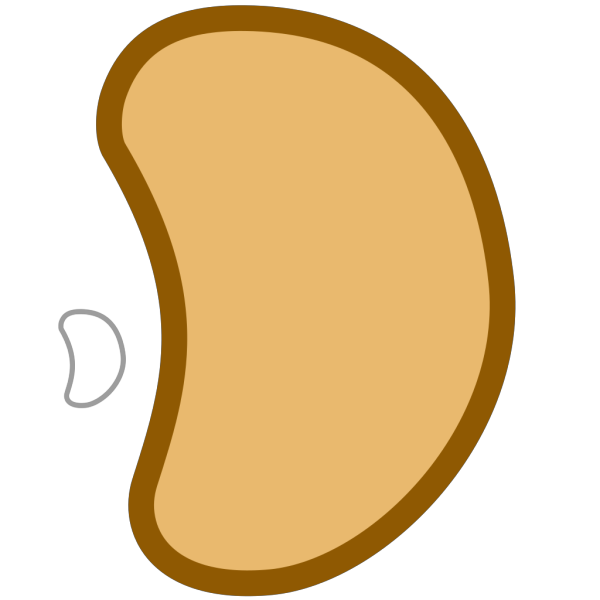 Brown Bean PNG Clip art