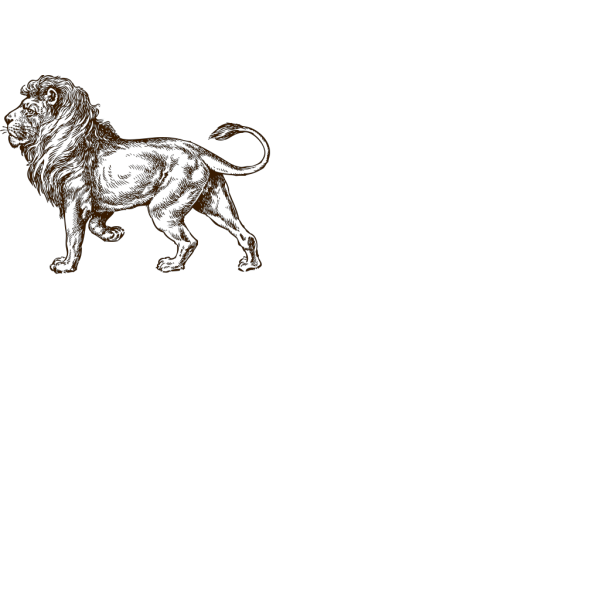 Lion Brown PNG Clip art