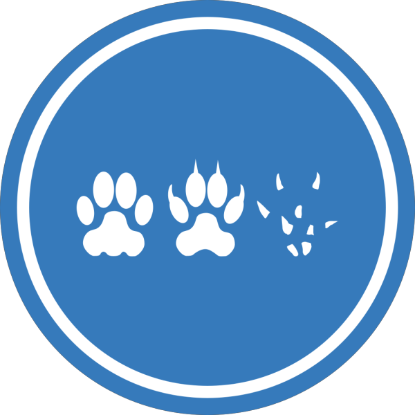 Paws With Circle PNG Clip art