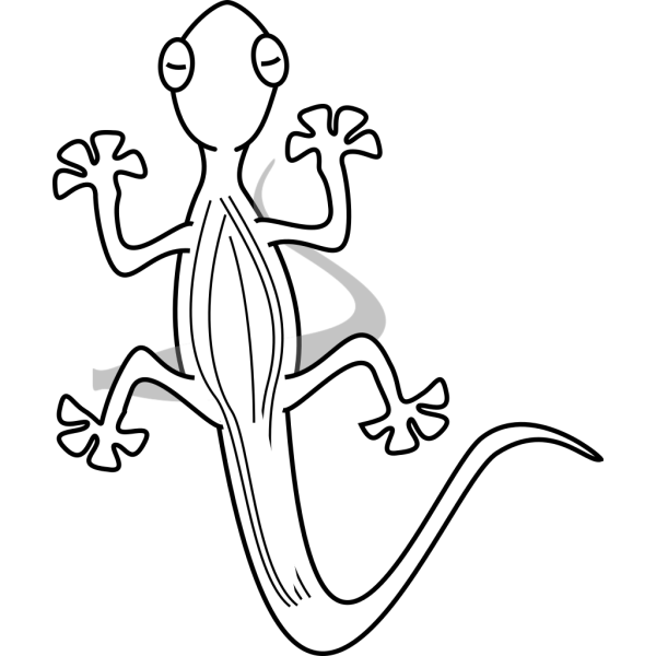 Lizard Outline PNG Clip art