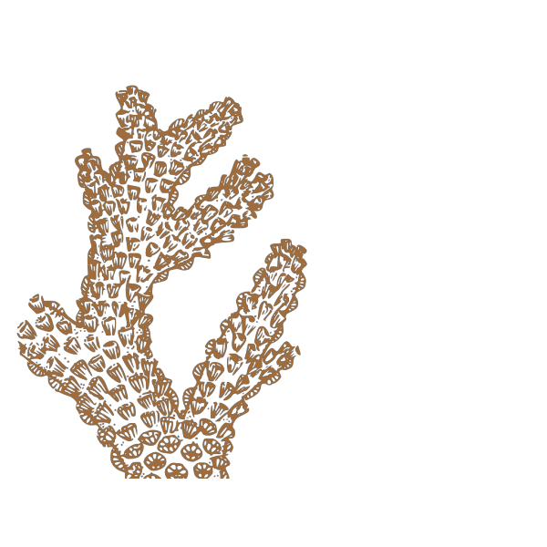 Brown Coral PNG Clip art