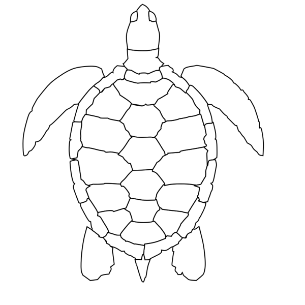 Turtle Outline PNG Clip art