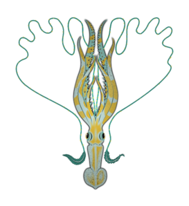 Calamari PNG Clip art