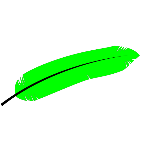 Green Feather PNG Clip art