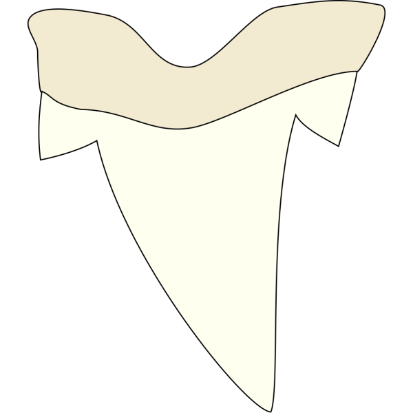 Shark Tooth PNG Clip art