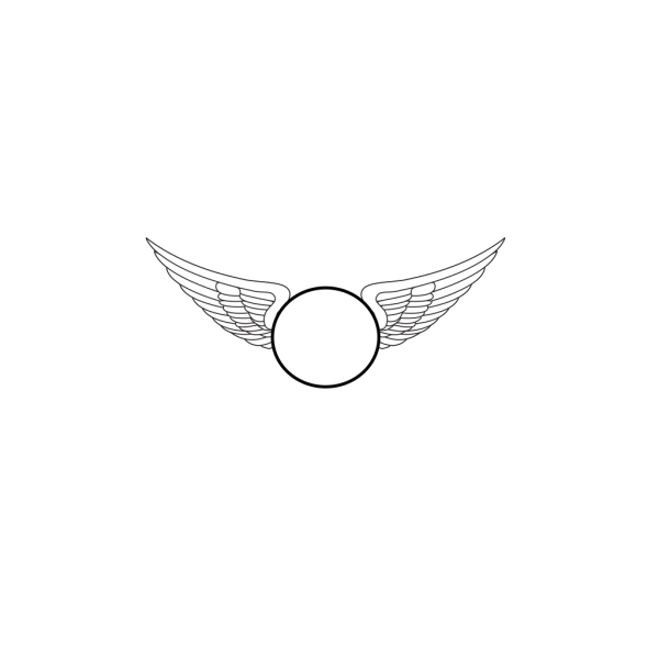 Wings  PNG Clip art