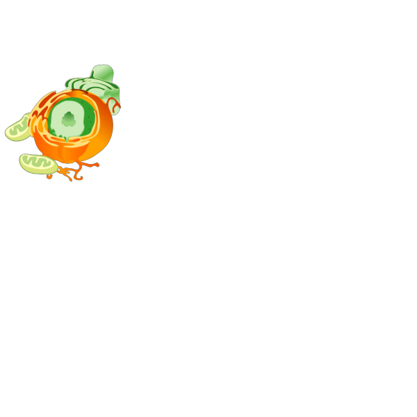 Cell Chunk PNG Clip art