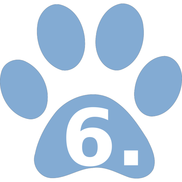 Paws Blue PNG images