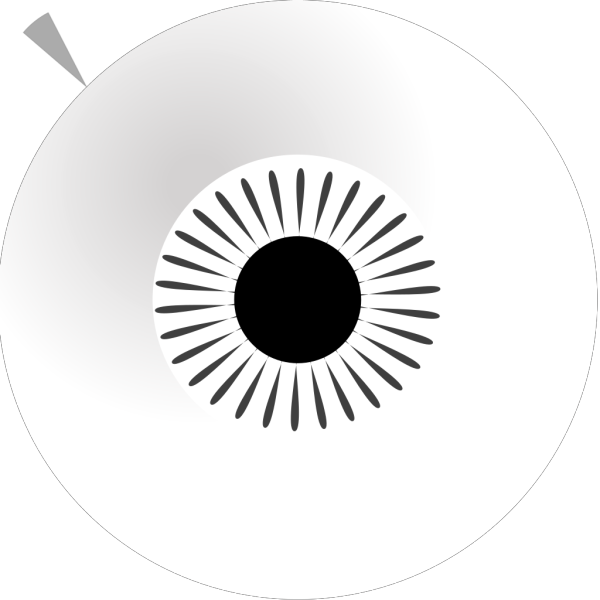Zebra Eye PNG Clip art