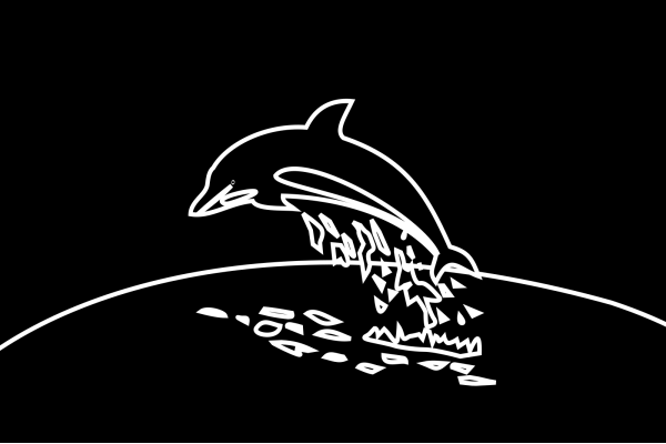 Dolphin Tandem PNG Clip art