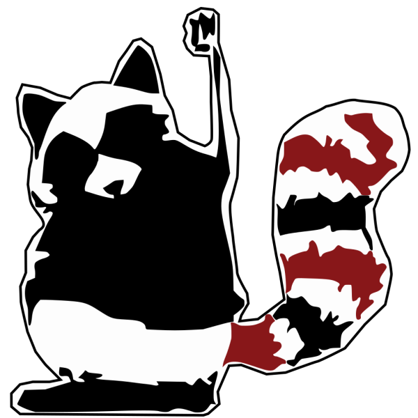 Racoon PNG images