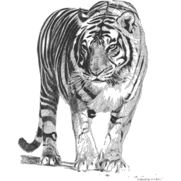 Bengal Tiger PNG Clip art