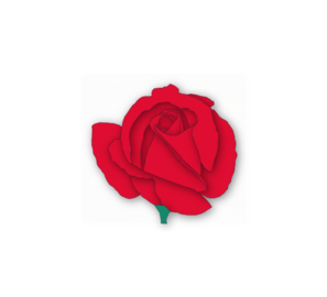 Red Rose PNG Clip art