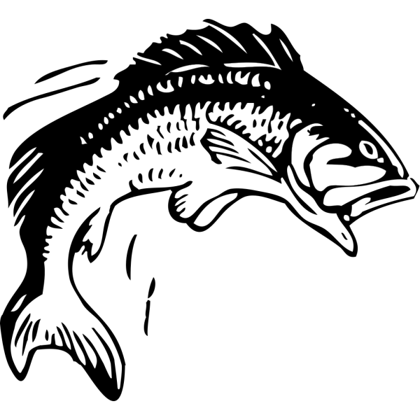 Todd Fish PNG Clip art