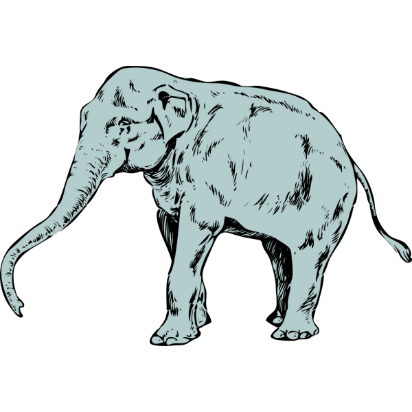 Cartoon Elephant 2 PNG Clip art