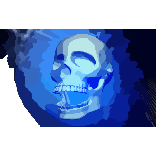3d Medical Skull PNG Clip art