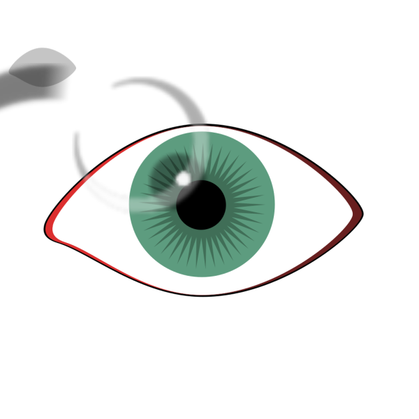 Colorful Eyes PNG Clip art