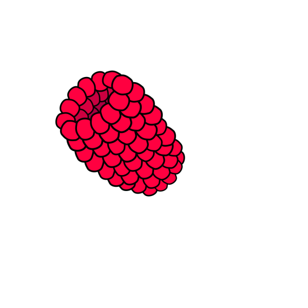 Red Raspberry PNG Clip art