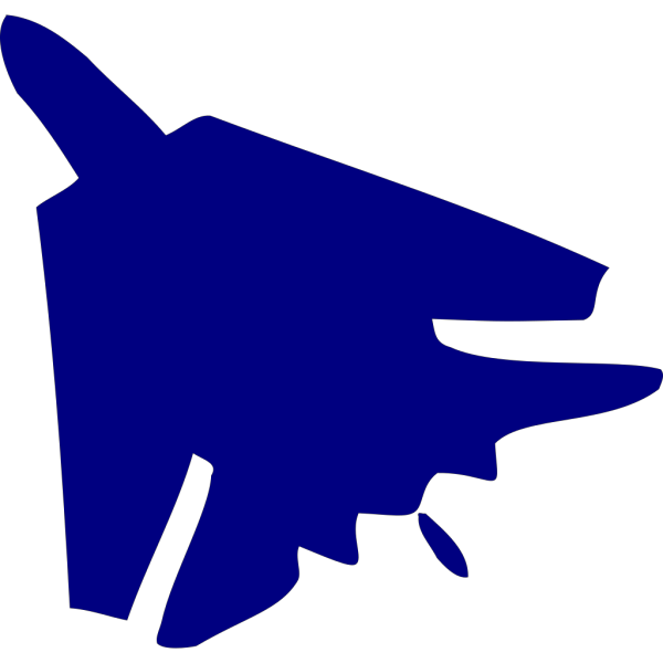 F-14 Tomcat PNG Clip art