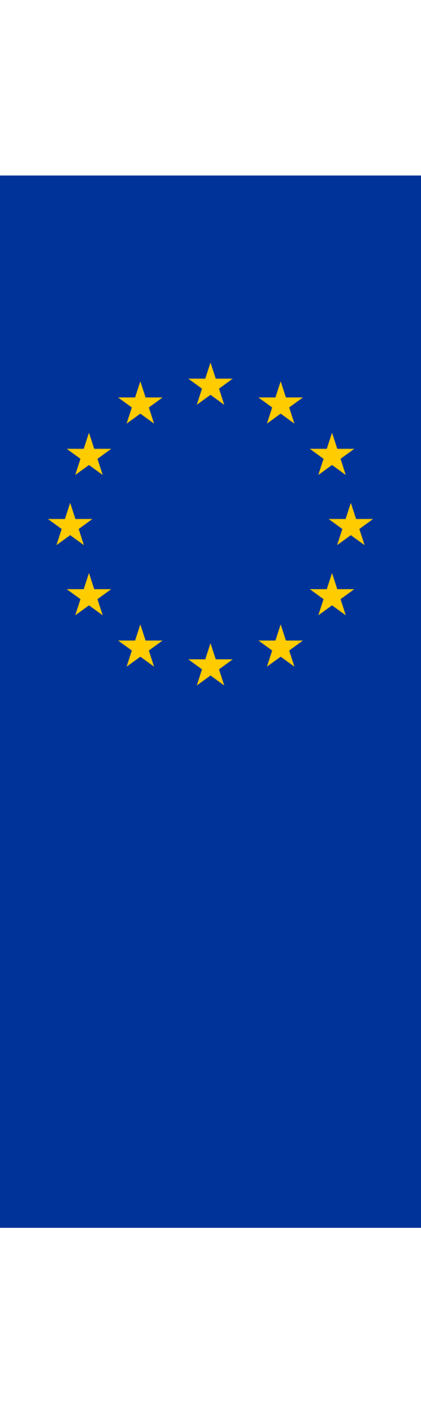 Flag Of Eu PNG Clip art