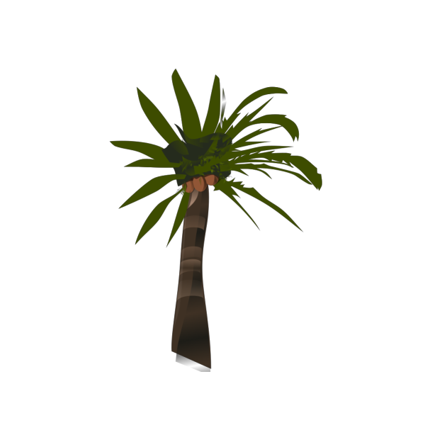 Palm Tree PNG Clip art