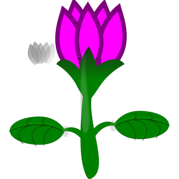 Blue Lotus PNG Clip art