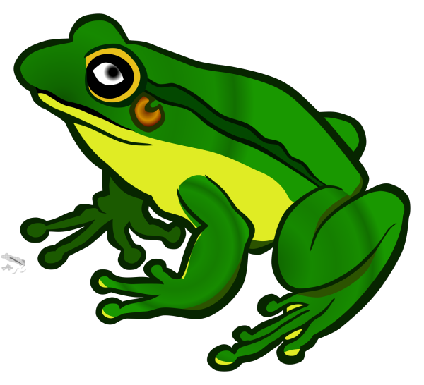 Frog 16 PNG Clip art