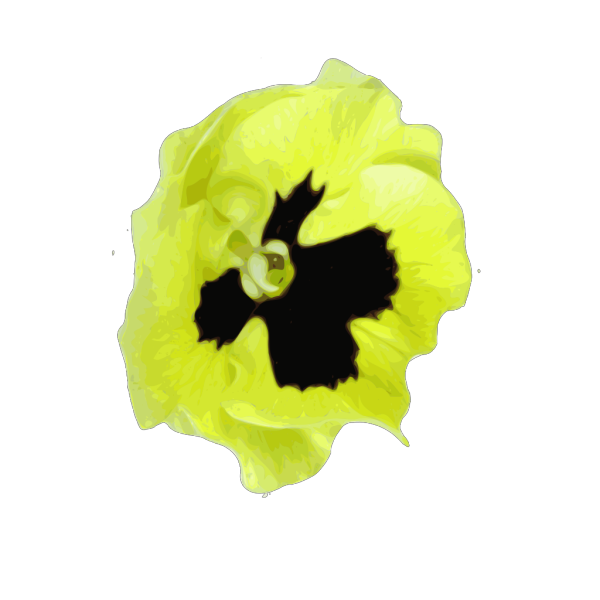 Flower 3 PNG Clip art