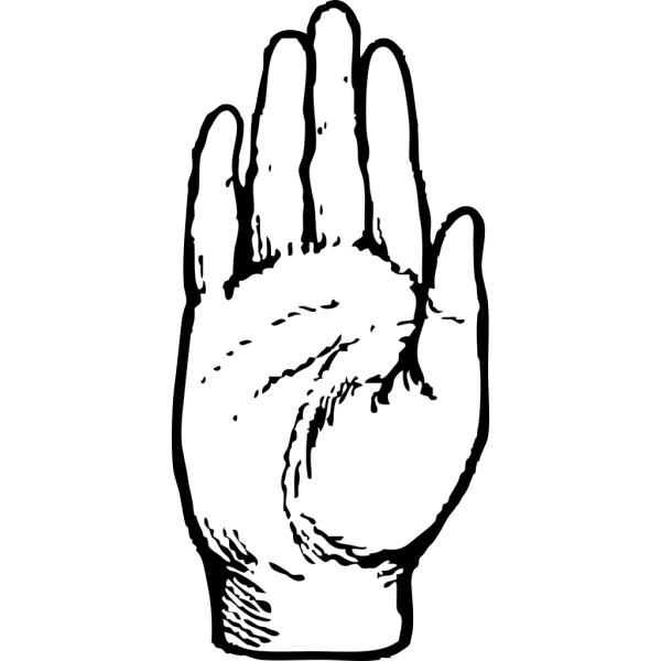Hand PNG Clip art