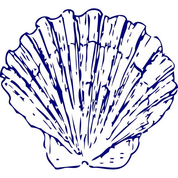 Dark Blue Sea Shell PNG Clip art