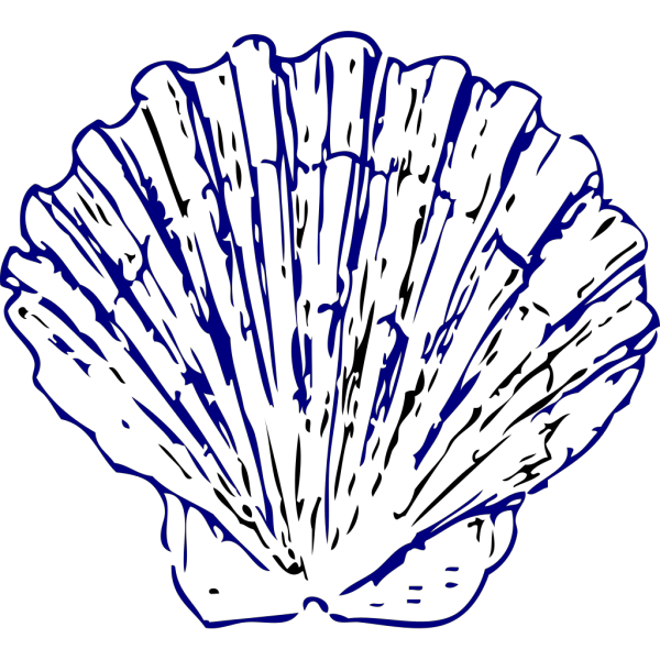 Sea Shell 2 PNG Clip art