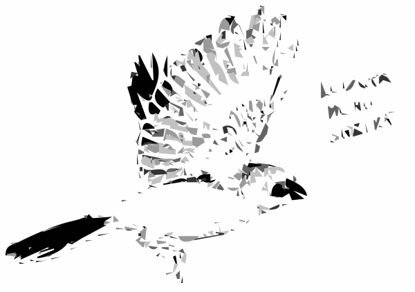 Bird3 PNG Clip art