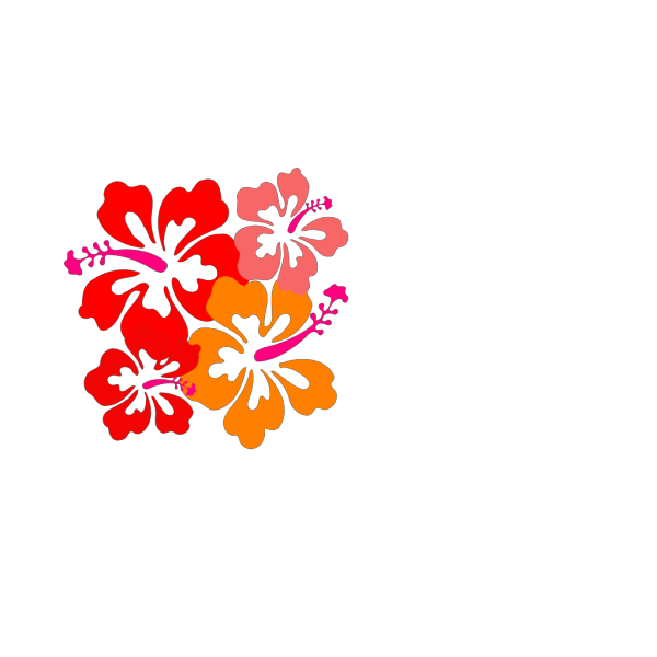 Coral Hibiscus PNG Clip art